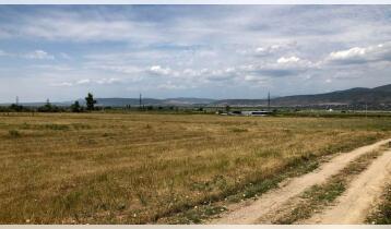 (Auto Translate!) Village. 7760 sq.m. land for sale in Tserovani, for residential or business. 800-900 meters from the highway. In the direction of the restaurant Shualedi.