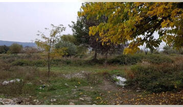 (Auto Translate!) 2 hectare land for sale in the village of Didi Lilo.