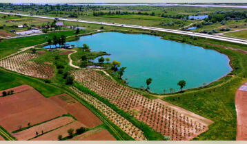 (Auto Translate!) From here, the lake, which is fed by groundwater and is flowing, occupies 60,000 sq.m.

  The area of ​​the land is 120,000 sq.m. (12 ha), a 6-year-old plum orchard with 800 roots, variety "Stanley" has been planted on the same land plot of 12,000 sq.m., which has been awarded the organic "garden certificate".

   The rest of the land is about 100,000 sq. Km. (10 ha) can be used for commercial purposes, in particular can be arranged as a restaurant, shop, hotel cottages and so on, will also be best for recreational and entertainment space, including agro-tourist facility (vineyard, cellar, fish, etc.) Of course the area is suitable Usually the best vegetables come for agriculture, strawberries will also come in handy.

 We see this area as a recreational tourist destination, 100 km from Tbilisi, a place for family and / or friends to spend the whole day (cafes, restaurants, fishing spots, water attractions, beach and swimming pool in summer, bicycle tours, children's entertainment area) , As well as 1-day corporate trips (mini seminars)