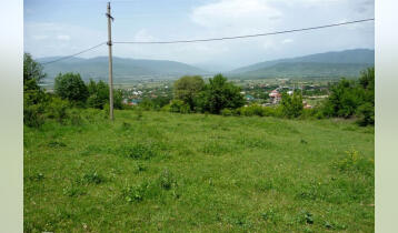 (Auto Translate!) Forest mouth, view of the Caucasus. Ilia district, in a cozy alley. The right land.