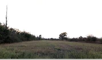 (Авто перевод!) Продается земельный участок в 2 км от Сагурамо, в селе Арашенда, возле центральной дороги, общая площадь 5290 кв.м., коммуникации не подведены.