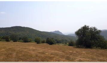 (Auto Translate!) 30000 sq.m. land for sale near the village of Orbeti, 30 minutes walk from Tbilisi, 1400 meters above sea level. The plot has a fully panoramic view with a 360 degree area of ​​just nature and the magnificent core mountains.