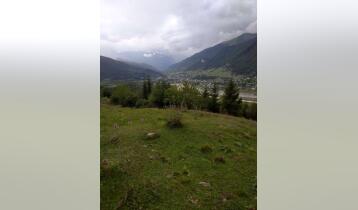 (Auto Translate!) A plot of land of 3378 square meters above the airport, with beautiful views, will be bought. Mestia, mountains can be seen. It is possible to negotiate the price