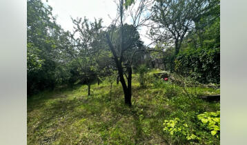 (Auto Translate!) For sale in Shua Tskneti, in the best location, a plot of land with a repair cottage