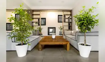 (Auto Translate!) 3 -storey commercial space on the edge of the river. It can be used for a catering, a trade organization, offices, and other unmarried businesses. The space has a parking space, a beautiful view of the river Mtkvari and an unusual location. Price is given including taxes.
