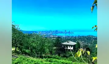(Auto Translate!) Non-agricultural land for sale 4 km from the center of Makhinjauri, 300 meters above sea level.