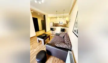 For Sale 45m2 Nonstandard New building Flat Renovated. Price: 500$