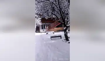 იყიდება პატარა სახლი ბაკურიანში რუსთაველის ქუჩაზე, ცენტრალურ პარკთან ახლოს.