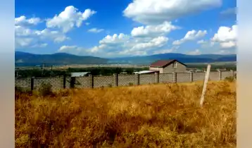 იყიდება მიწის ნაკვეთი წეროვნის ინსტიტუტის დასახლებაში, ნაკვეთს ორი მხრიდან შემოღობილია.