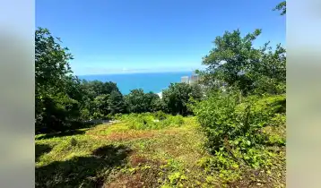 იყიდება 3125m2 მიწის ნაკვეთი (სასოფლო). ფასი: 500000$