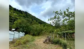 (Auto Translate!) A plot of land in Akhaldaba near the forest is for sale.